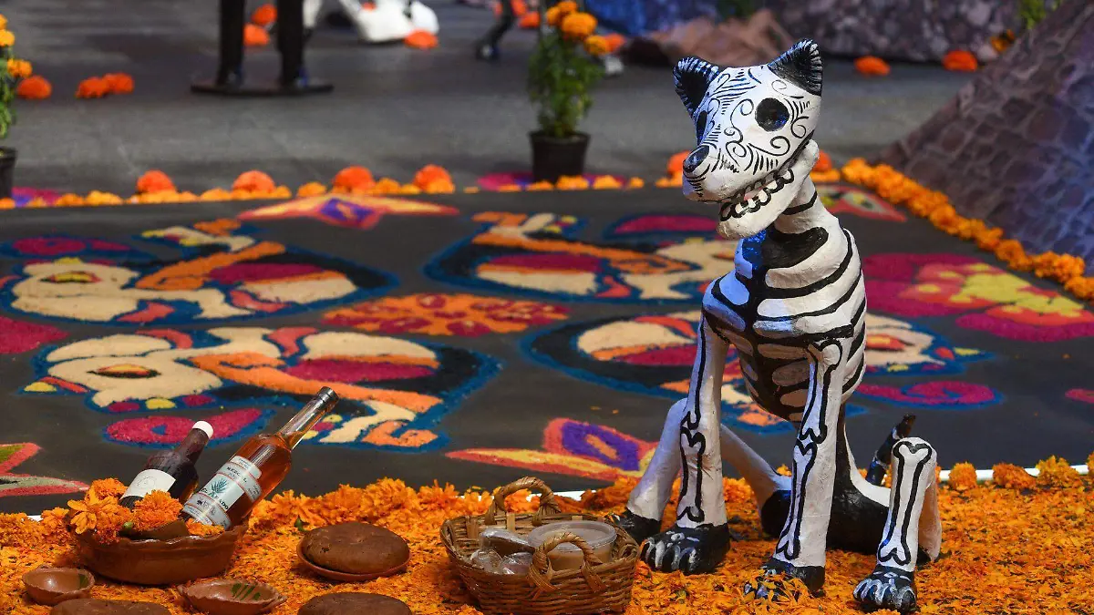 Todos los Santos: Las Raíces del Samhain y el Simbolismo Oculto del Altar de Muertos 3